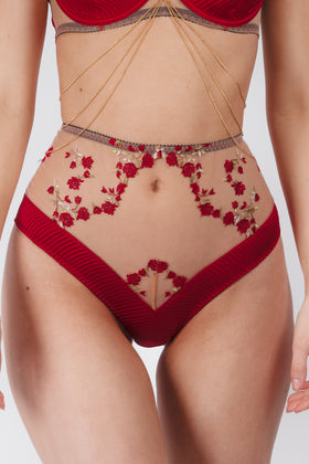 Charlotte Silk High Waist Brief