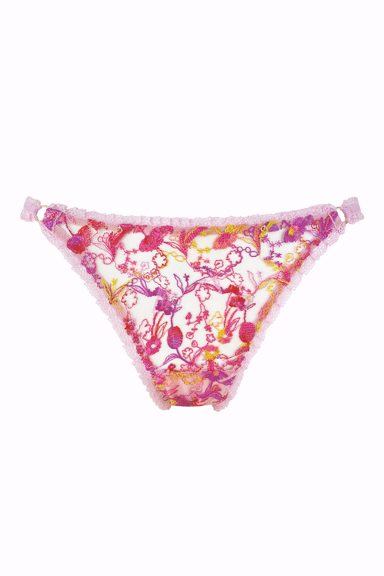 Josephine Sustainable Brief