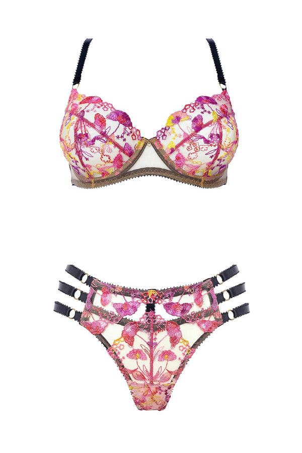 Josephine Brief