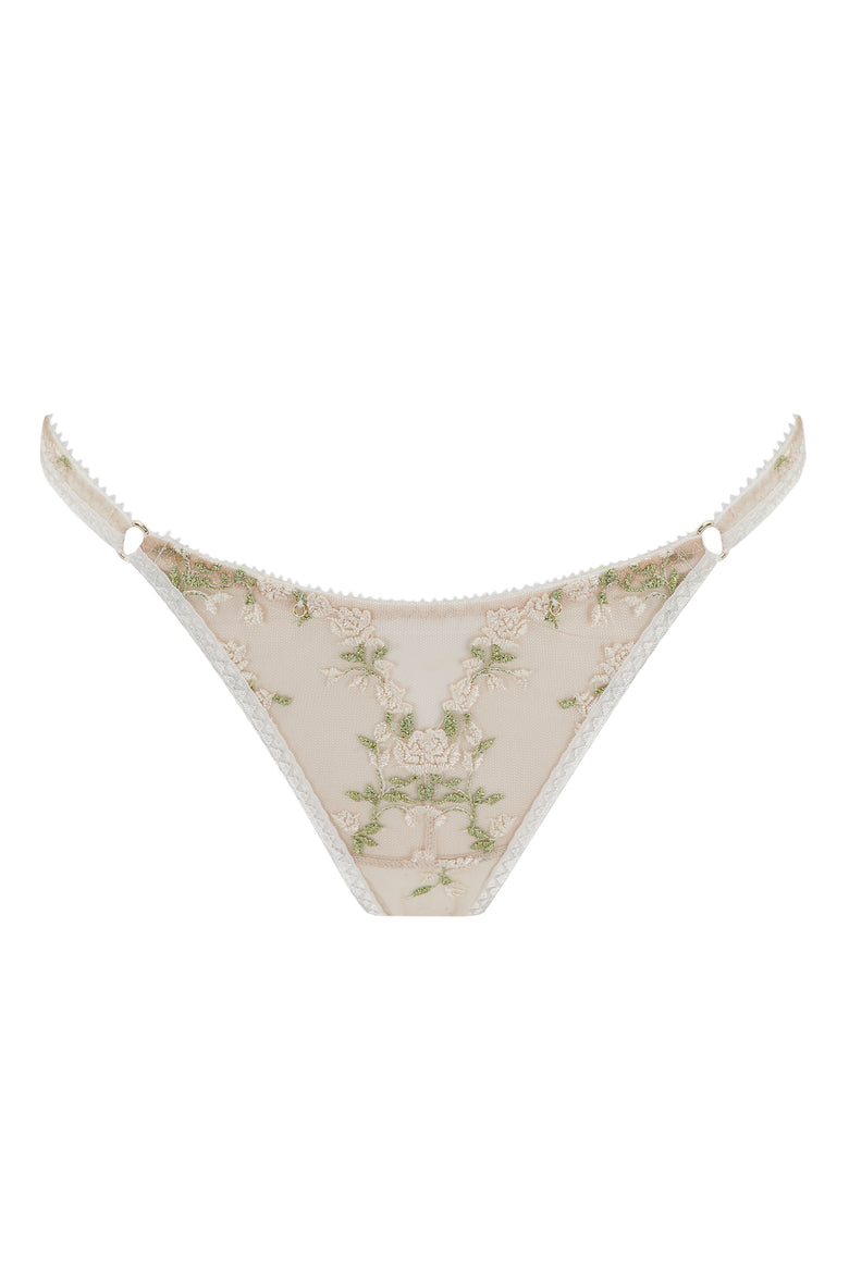 Charlotte Ivory Brief